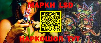 индика Краснокаменск